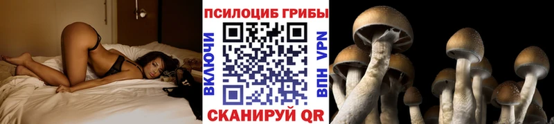 Псилоцибиновые грибы MAGIC MUSHROOMS  Тырныауз 